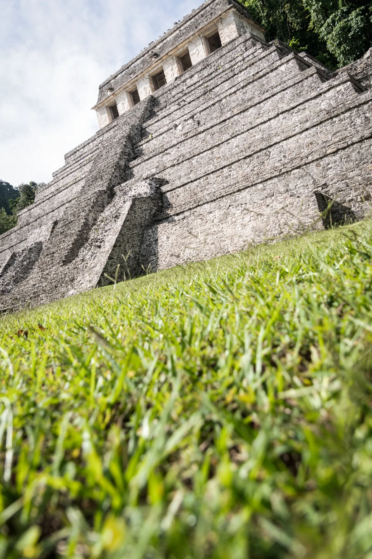 Piramide maya fotografata dal basso con erba in primo piano